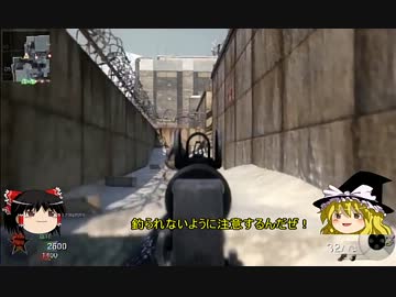 【ゆっくり実況】感度2がTDM！　WMD【CoD:BO】
