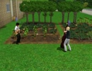 【Sims3でAPﾍﾀﾘｱ】親分と兄ちゃんで農園物語-23-