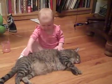 ガッチリ優しそうなデカ猫くんがレスリング勢に翻弄される