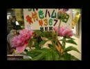 永江朗ブックレビュー「新宿駅最後の小さなお店ベルク」
