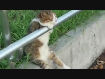 夕焼けはやっぱりこの曲だなぁ