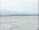 必ず目標を達成できる！だからこそ… (？)　[Never修造 応援]