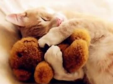 癒し洋楽メドレー 作業用bgm ニコニコ動画