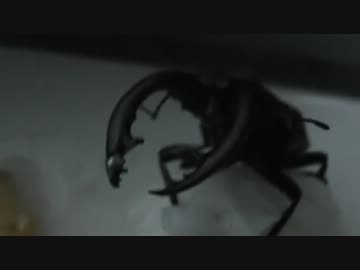 福福福福福福福福福福福福福福福福福