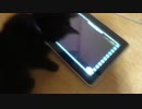 すぐ飽きるくろねこ