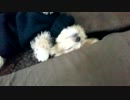 眠たっ！！
