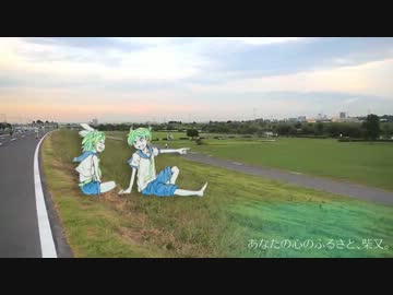 夏真っ盛りの柴又