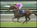 競馬 本馬場入場集 Part6