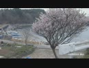 112）2012.5.2　神止.wmv