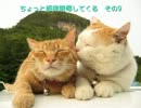 ちょっと姫様陵辱してくる　その9