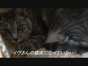 Amazonで買った服のその後