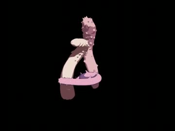 きゅうり