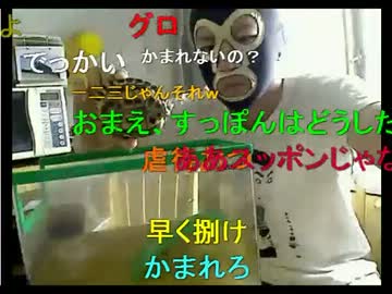 暗黒放送Pインターネットの弁償をしろとメールを送る奴を許さない放送2/2