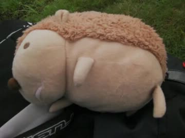 [ライダーカードを求めて迎撃開始]　 突撃と２０代キャンプオフ　[NG]