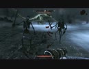 【英語版】女ウッドエルフSkyrim探訪記 Part 62