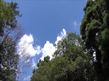 流れる雲と虫の声