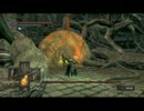 【ダークソウル】話下手なのに実況プレイpart41