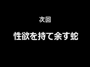 【初見縛り実況】鬼畜豆まきに挑戦【ロックマン3】 Part4