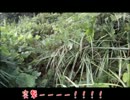 九州地方。本日、妖怪日和　その１１