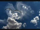enya~Wild child~