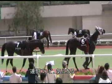 競馬場の養分【第66回セントライト記念in仁川】.flv