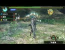 【MHP3】一狩りいっとく【実況素人】9狩猟目