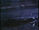 ゲテモノホラー CHUD チャド 2/5 C.H.U.D.