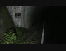 【夜間】 静岡市清水区　池乃奥隧道１　【探索】