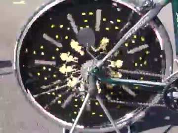 自転車フェナキストスコープ