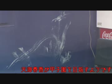 天海春香が甲子園を目指すようです。Part11