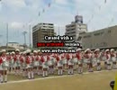 かわいい鼓笛隊