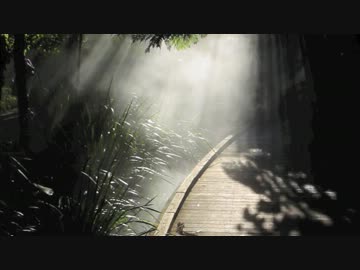Angel's Fear [YK_rmx_]【from 聖剣伝説3】