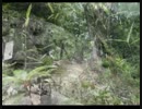 彼を探して・・・Ｐａｒｔ２