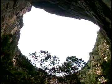 秘境・ギアナ高地の巨大穴(高画質版) (02 of 04)