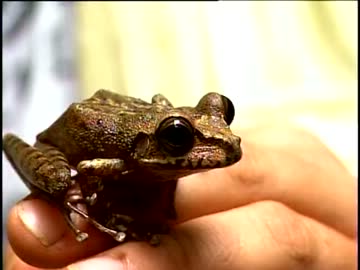 秘境・ギアナ高地の巨大穴(高画質版) (03 of 04)