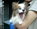 2012.9.23病院にて.MPG