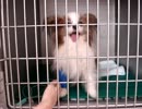 2012.9.23病院にて②.MPG