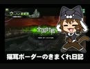 【ウーハイF】猫耳ボーダーの気まぐれ日記：その316【A3】