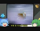 バカルテットパと大ちゃんと、時々メタモン……？part1