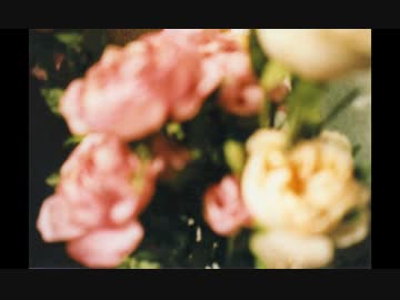 「ばらの花」 cover -Spiltmilk&チャイラテ