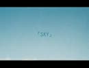 YOMEが三十路記念に　S・K・Y　歌ってみた