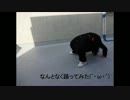 暇だったので踊ってみた【Gたす】