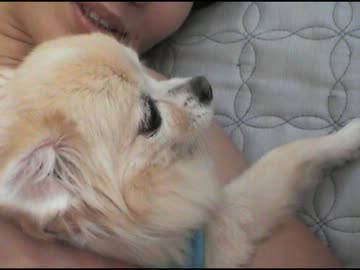 【一緒にできる】ニコニコ30日間ダイエット【30日目】