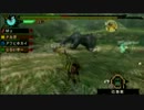 アワビとＭｙの狩人日記【MHP3rd】　7日目「すばしっこい黒い子」