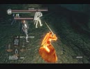 【ダークソウル】魔術系太陽が行くロードラン応援の旅２回目