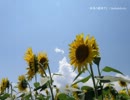 【歌ってみた】本日ハ晴天ナリ／DoAsInfinity【紅音】