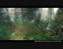 【イース セルセタの樹海】暁の森【BGM】