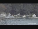 121）2012.5.2　岩井沢.wmv