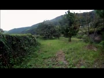 九州地方。本日、妖怪日和　その１２