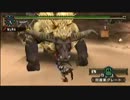 【MHP2G】MHHR1　3/3
